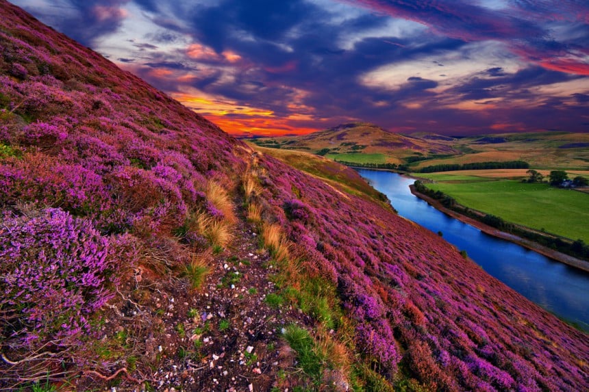 Skotlannin kesässä voi nähdä valtavan kirjon värejä. Kuva: Serge Bertasius | Dreamstime.com
