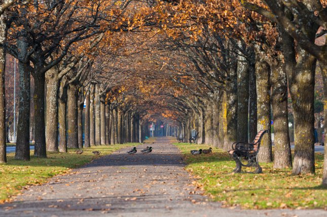 Pärnu, Viro | Napsu