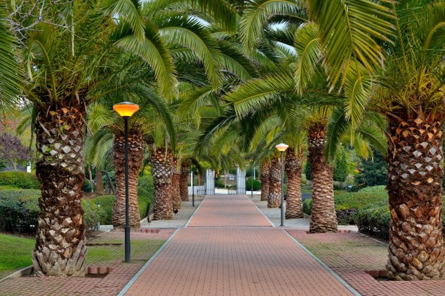 Benalmadena, Espanja | Napsu